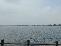 -鹅湖玫瑰文化园