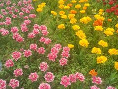 -北京植物园南门售票处