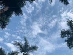 -深圳湾公园(南山区)