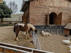 -HERRE·FARM 赫尔露营农场·团建聚会包场