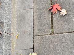 -常熟理文铂尔曼酒店