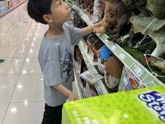 -TOYSRUS玩具反斗城(无锡荟聚购物中心店)