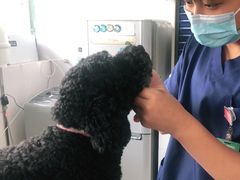 -佳雯宠物医院(四明中路分院)