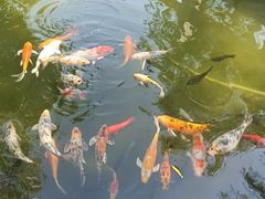 -三里河公园