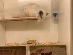 -龙猫仔乐园(惠福东路店)