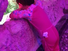 -水晶之星洗浴温泉汗蒸