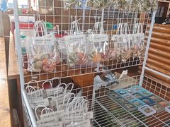 -蓝湾碧波·老字号·疍家非遗海上餐厅