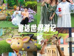 -灵玲国际马戏城