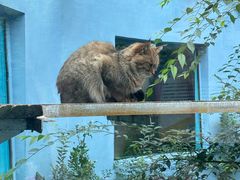 -青藏高原野生动物园