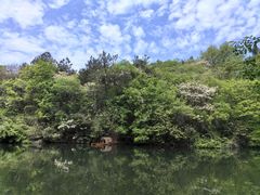 -天目湖山水园