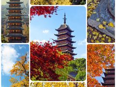 -常熟方塔园