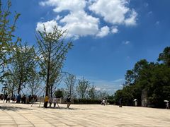 -牛首山文化旅游区