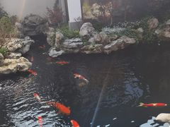 -鲤院·新中式美学·庭院餐厅(夫子庙店)