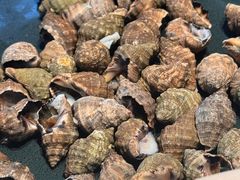 -浩运海鲜·16年专注青岛菜(石老人店)