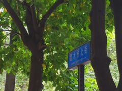 -大湾金牌万州烤鱼(沙河店)