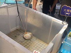 -甄品麦哲伦海鲜和牛自助(万达广场店)