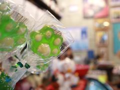 -猫咪博物馆(顶澳仔猫街店)