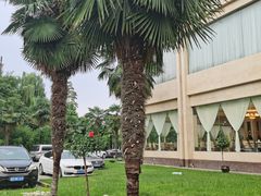 -西安交大南洋大酒店(交通大学青龙寺店)