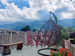 -喵屿·大理花园猫咖