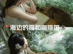 -海边的猫和咖啡馆