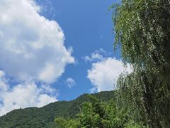 -牛背梁国家森林公园