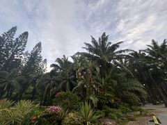 -莲花山公园