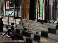 -聚德华天护国寺小吃(甜水园店)