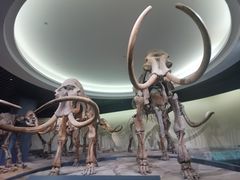 -大庆市博物馆