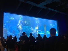 -哈尔滨波塞冬海底世界