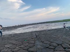 -南汇嘴观海公园