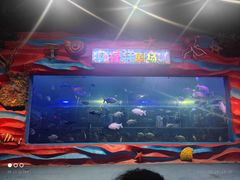 -白鹿仓冰雪海洋世界