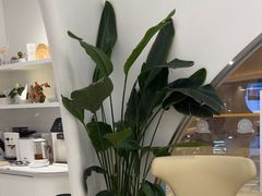 -固瑞齿科·口腔·种植·矫正(恒隆分院)