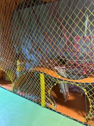 -酷嗒动物文化乐园(cutezoo西溪乐天城店)