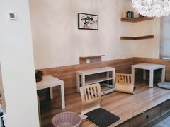 -滚猫咖啡·猫咖·猫友好撸猫(未来城店)