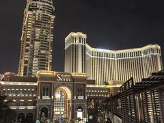 -澳门威尼斯人综合度假区