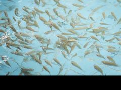 -郑州银基黄帝宫御温泉