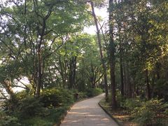 -东湖落雁景区