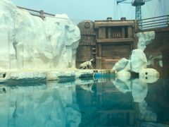 -秦皇岛乐岛海洋王国