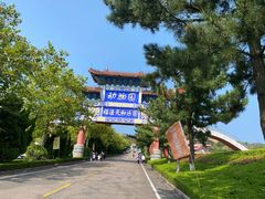 -西霞口神雕山野生动物世界