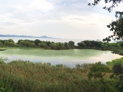 -上海市保健医疗中心(华东疗养院)