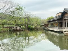 -绿茶餐厅(龙井船宴· 品牌总店)