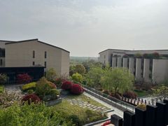 -品悦(崇明凯悦店)