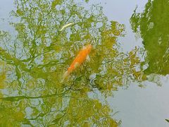 -三里河公园