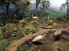 -陕西自然博物馆