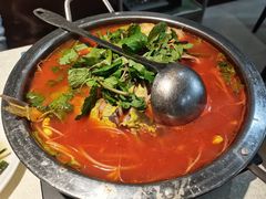 酸汤鱼-贵州人家·酸汤火锅·20年老字号