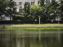 -山东大学(威海校区)