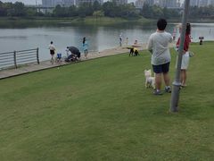 -美兰湖景区