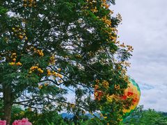-中国科学院西双版纳热带植物园