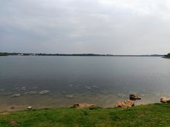 -丁香湖公园