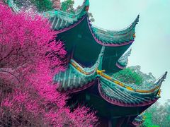 -峨眉山报国寺